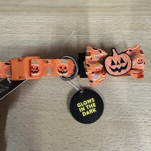 Thrills & Chills Halloween Pumpkin Dog Collar Small Glows In The Dark 10”-14”